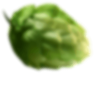02.png