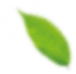 05.png
